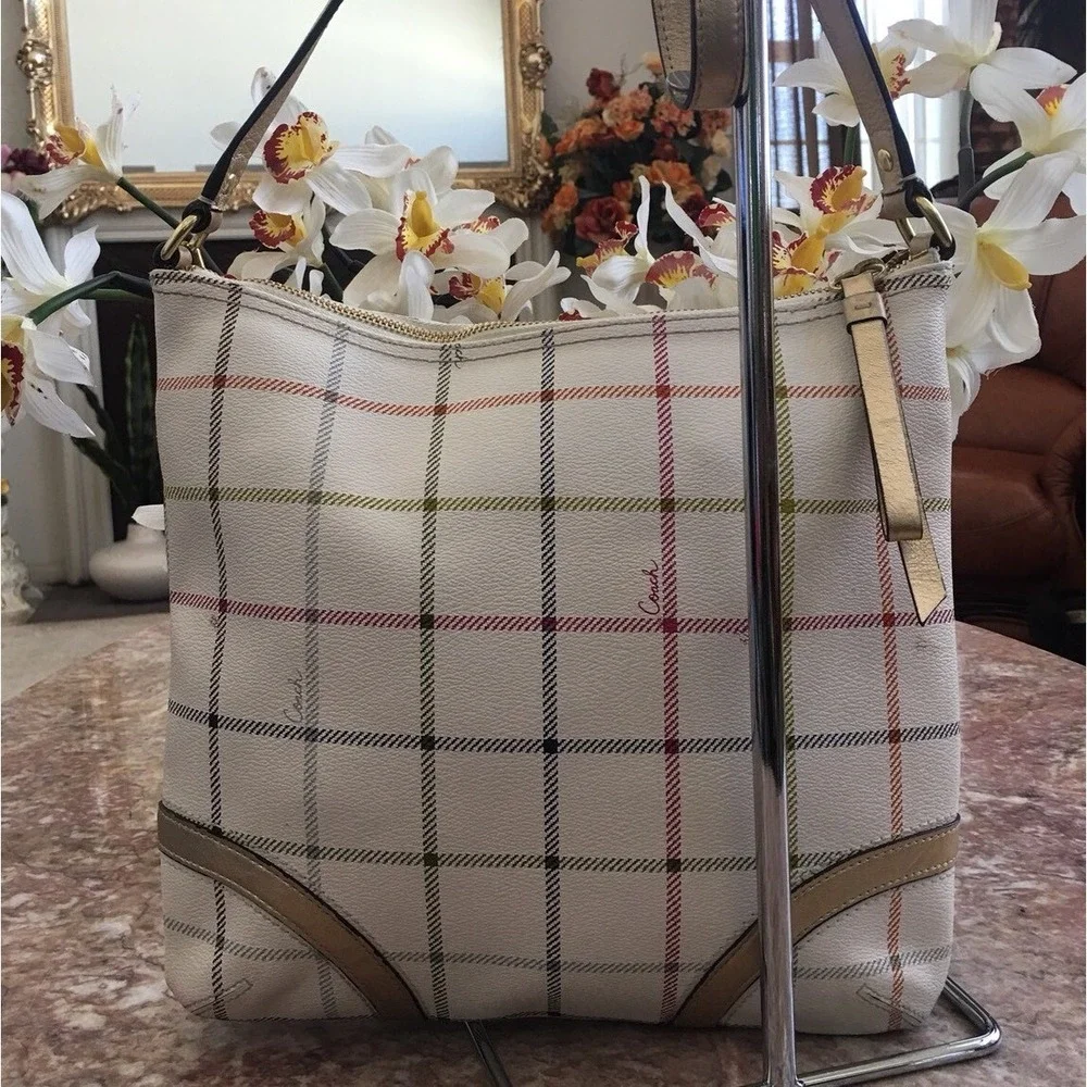 Coach this bag